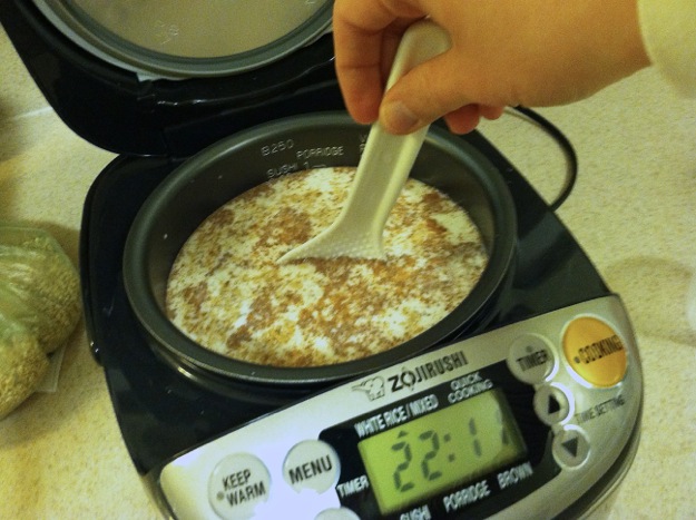 Rice Cooker Oats Recipe